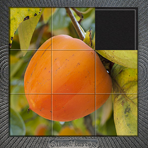 Persimmon Puzzle Photo Collage